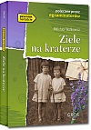 Ziele na kraterze - Melchior Wa�kowicz